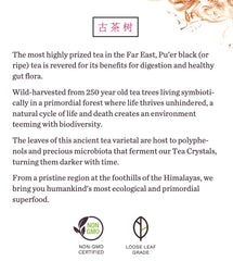 Pu'er Ultimate Bundle