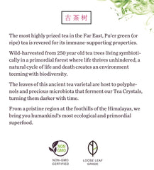 Pu'er Green Tea (Special Offer)